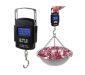 Electronic Portable LCD Digital Scale ⚖️